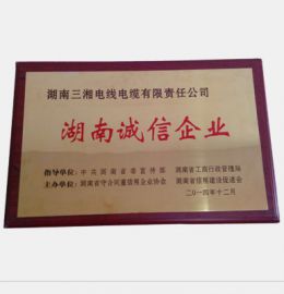 湖(hú)南诚信企业
